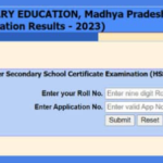 MP Board 10th and 12th Exam Results: MP Board Result 2024